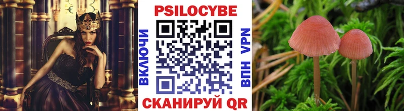 Галлюциногенные грибы GOLDEN TEACHER  как найти закладки  Луховицы 